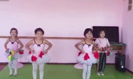 舞蹈视频大全,舞蹈视频大全精彩集锦
