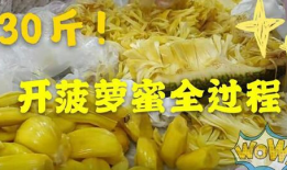菠萝蜜视频,揭秘生活百态，畅享视觉盛宴