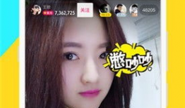 成 人免费视频播放,揭秘成人免费视频播放的精彩世界