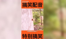 稿笑视频,轻松一刻，笑出腹肌的欢乐时光