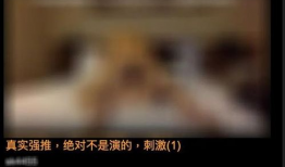 黄色视频激情