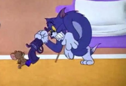 猫和老鼠视频,一场欢乐的追逐战