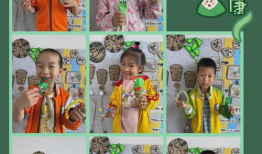 端午节介绍视频,传承千年的民俗风情与粽子盛宴