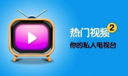 热视频,热门话题背后的真相与启示