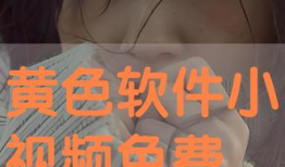 黄色免费视频,暗藏的风险与警示