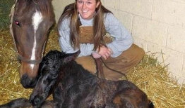 马交配过程视频,自然繁殖的奇妙瞬间