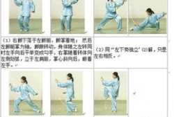 太极拳24式视频完整版,一招一式，尽展太极魅力