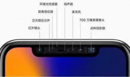 苹果袋怎么套视频教程,轻松掌握果实保护技巧