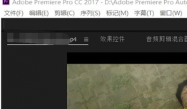 视频怎么p,跟随P生成技术探索视觉艺术新境界